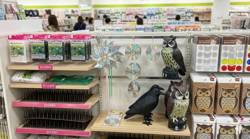 2.100均で買える鳥のフン対策グッズ