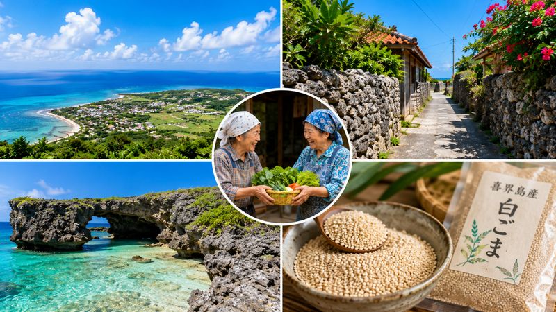 3.実は絶景の宝庫!喜界島の本当の魅力
